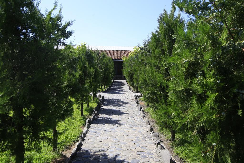 Chateau Bruale Tkhilistskaro Buitenkant foto